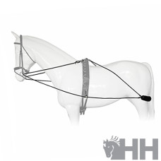 SISTEMA ENTRENAMIENTO LEXHIS TIPO PESSOA